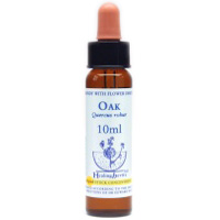 Oak Healing Herbs Tropfen