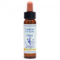 Larch Healing Herbs Tropfen